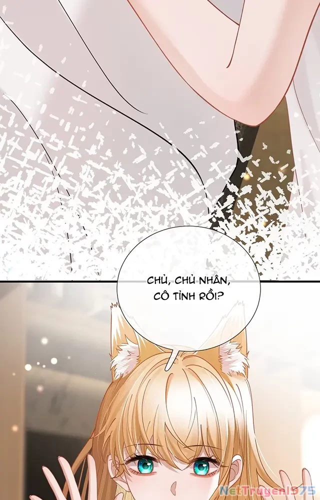Thưa Ngài, Đuôi Của Ngài Không Giấu Được Nữa Rồi Chapter 20 - Trang 2