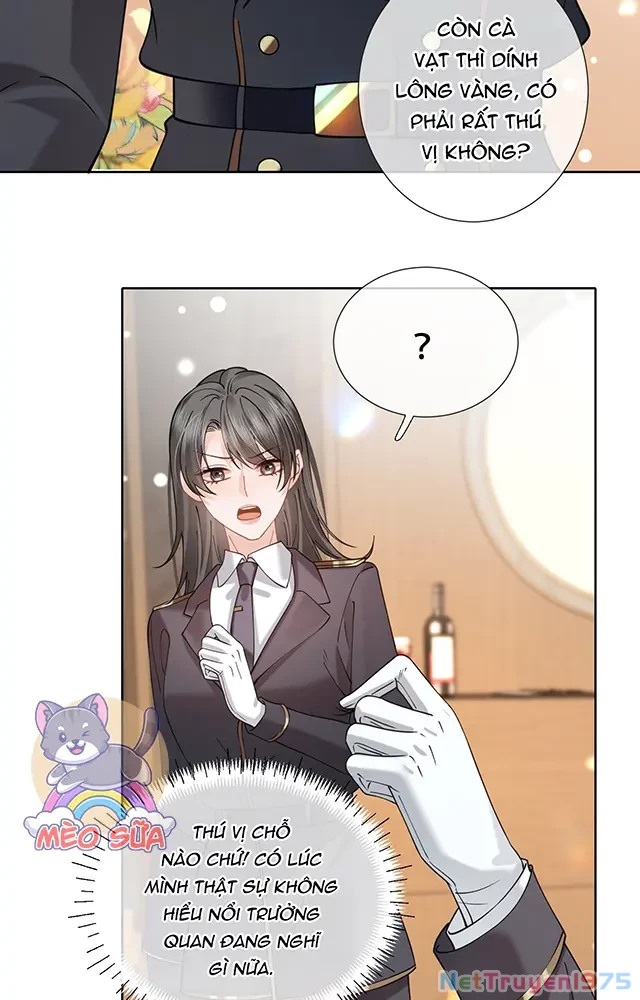 Thưa Ngài, Đuôi Của Ngài Không Giấu Được Nữa Rồi Chapter 21 - Trang 2