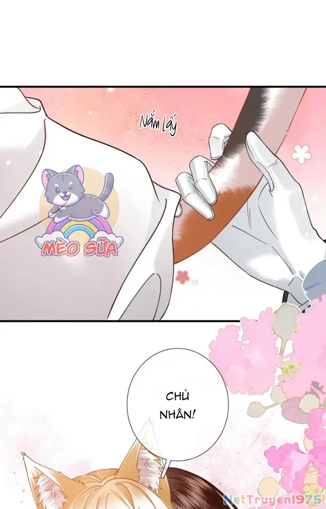 Thưa Ngài, Đuôi Của Ngài Không Giấu Được Nữa Rồi Chapter 22 - Trang 2