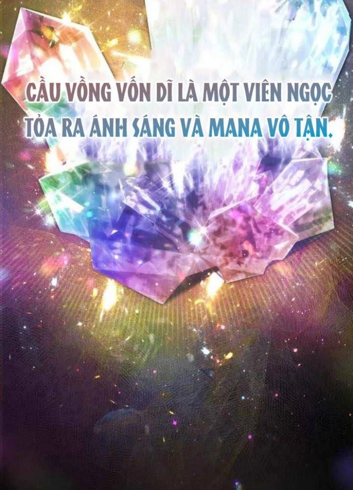 Đa Sắc Ma Pháp Sư Thiên Tài Chapter 33 - Trang 3