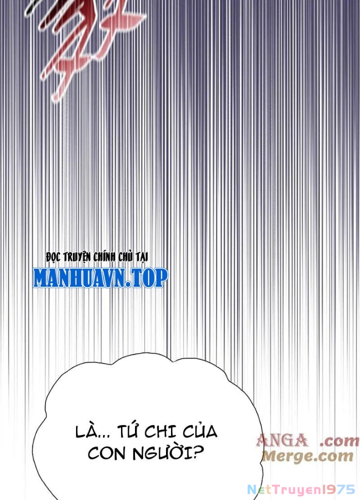 Kẻ Tàn Nhẫn Ngày Tận Thế: Bắt Đầu Dự Trữ Hàng Tỷ Tấn Vật Tư Chapter 65 - Trang 3