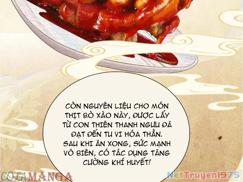 Gặp Mạnh Thì Mạnh, Ta Tu Vi Vô Thượng Hạn Chapter 41 - Trang 2