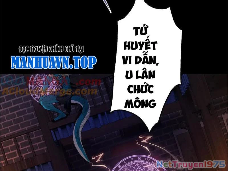 Gặp Mạnh Thì Mạnh, Ta Tu Vi Vô Thượng Hạn Chapter 41 - Trang 2