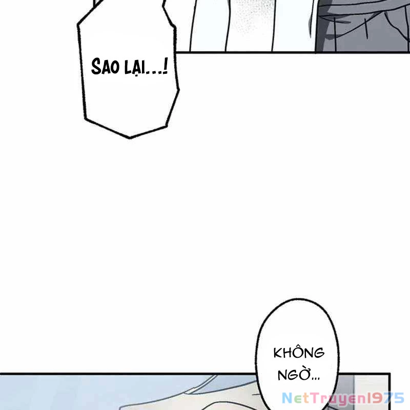 Quý Tộc Báo Thù Chapter 13 - Trang 3