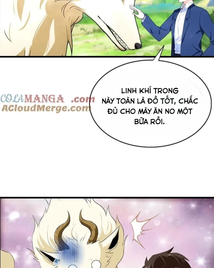 Đô Thị Thánh Thủ: Ta Là Y Võ Đỉnh Phong Chapter 123 - Trang 2