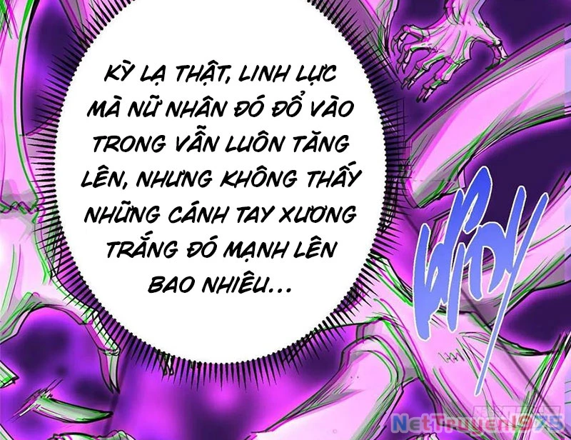 Chưởng Môn Khiêm Tốn Chút Chapter 497 - Trang 2
