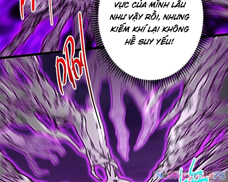 Chưởng Môn Khiêm Tốn Chút Chapter 497 - Trang 2