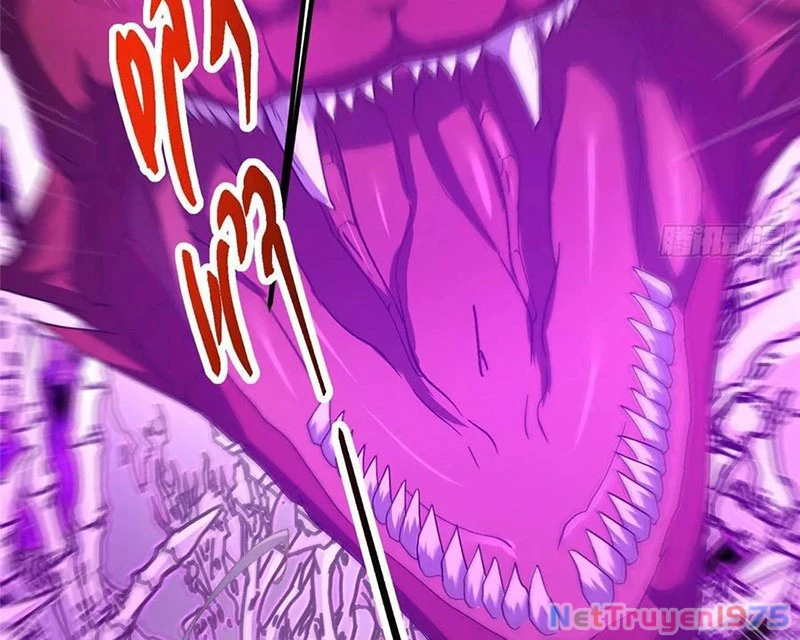 Chưởng Môn Khiêm Tốn Chút Chapter 497 - Trang 2