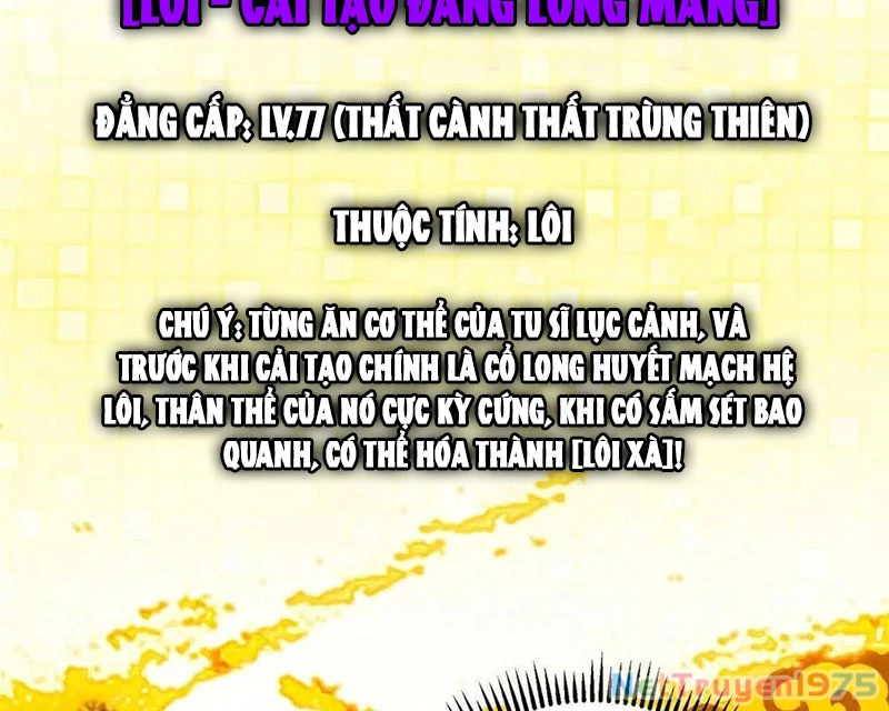Chưởng Môn Khiêm Tốn Chút Chapter 497 - Trang 2