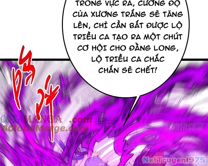Chưởng Môn Khiêm Tốn Chút Chapter 497 - Trang 2