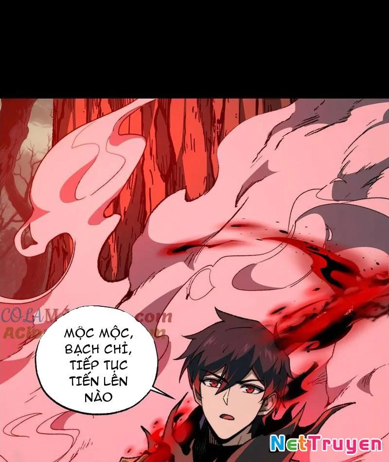 Tai Ách Cấp Mục Sư Chapter 41 - Trang 2