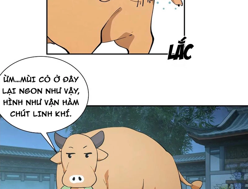 Bách Thê Phổ: Thánh nữ đều gọi ta là phu quân Chapter 52 - Trang 3