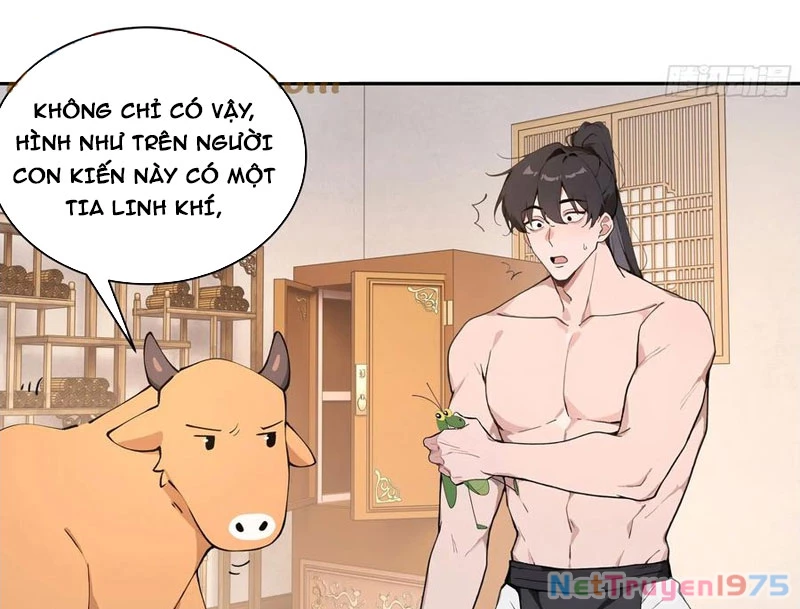 Bách Thê Phổ: Thánh nữ đều gọi ta là phu quân Chapter 52 - Trang 3