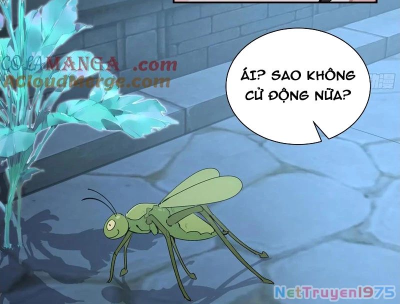 Bách Thê Phổ: Thánh nữ đều gọi ta là phu quân Chapter 52 - Trang 3