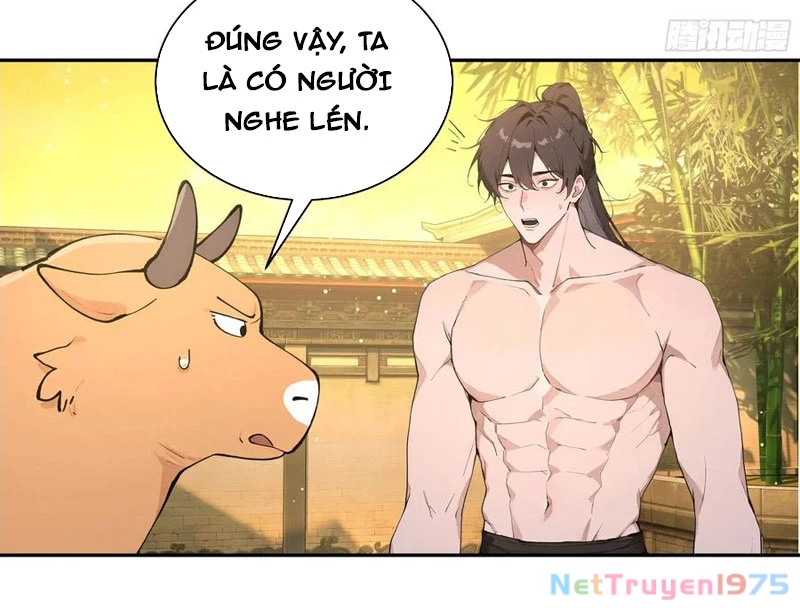 Bách Thê Phổ: Thánh nữ đều gọi ta là phu quân Chapter 52 - Trang 3