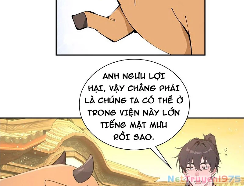 Bách Thê Phổ: Thánh nữ đều gọi ta là phu quân Chapter 52 - Trang 3