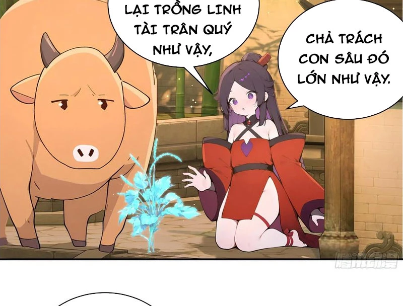 Bách Thê Phổ: Thánh nữ đều gọi ta là phu quân Chapter 52 - Trang 3