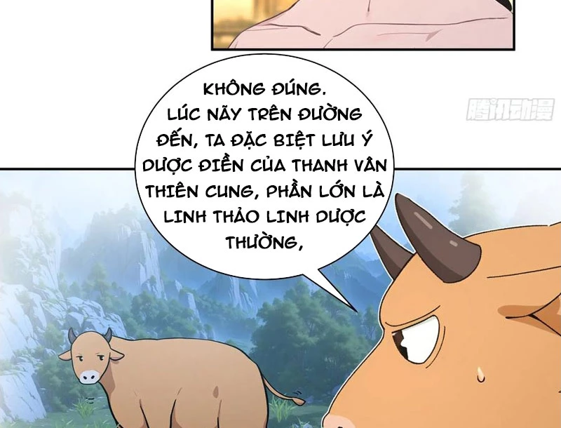 Bách Thê Phổ: Thánh nữ đều gọi ta là phu quân Chapter 52 - Trang 3