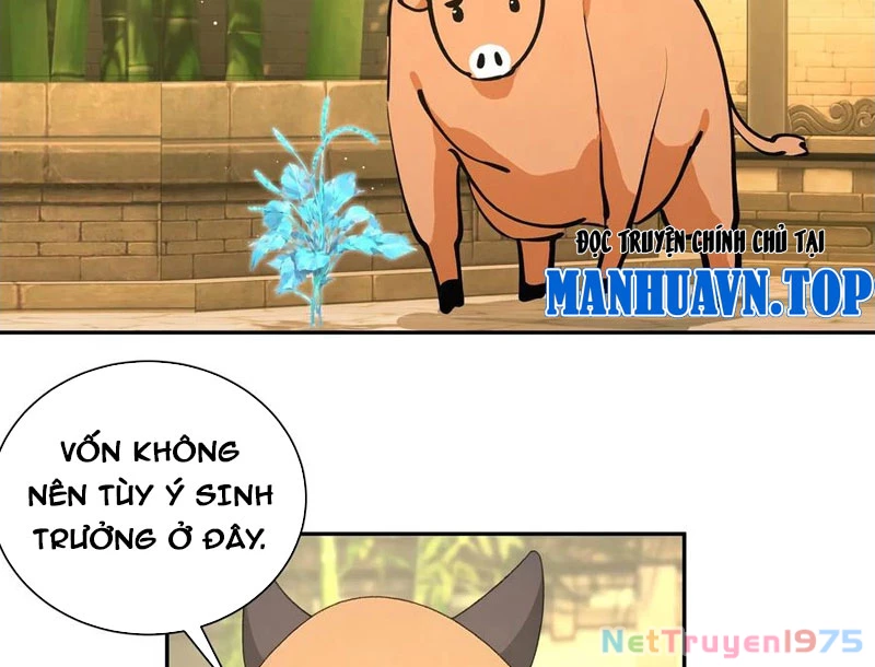 Bách Thê Phổ: Thánh nữ đều gọi ta là phu quân Chapter 52 - Trang 3