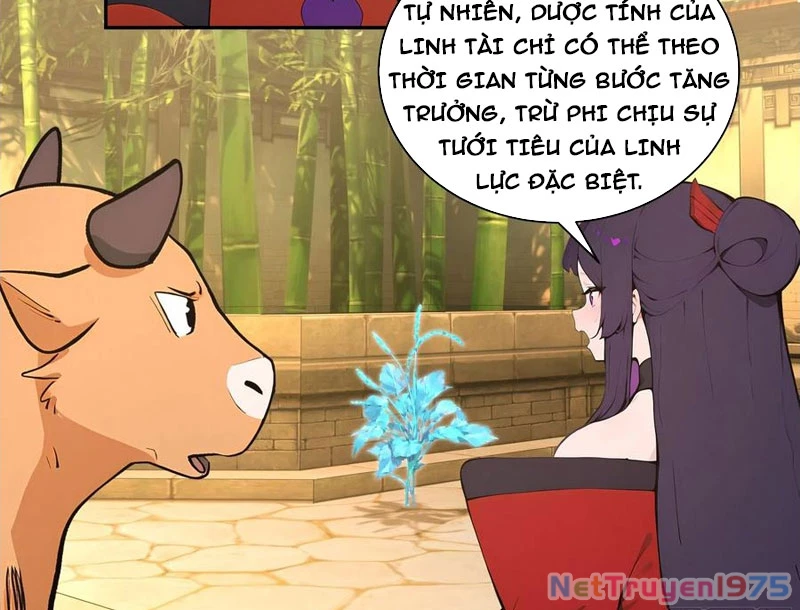 Bách Thê Phổ: Thánh nữ đều gọi ta là phu quân Chapter 52 - Trang 3