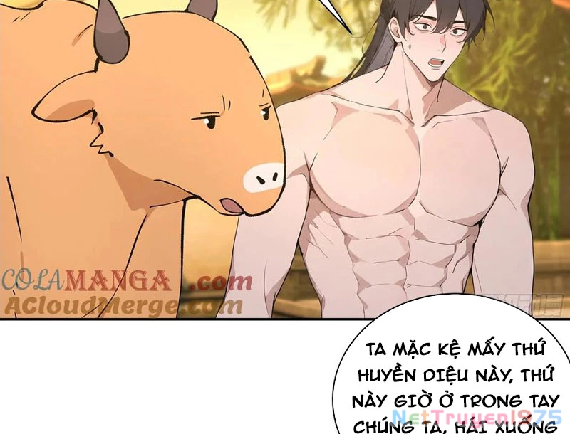 Bách Thê Phổ: Thánh nữ đều gọi ta là phu quân Chapter 52 - Trang 3