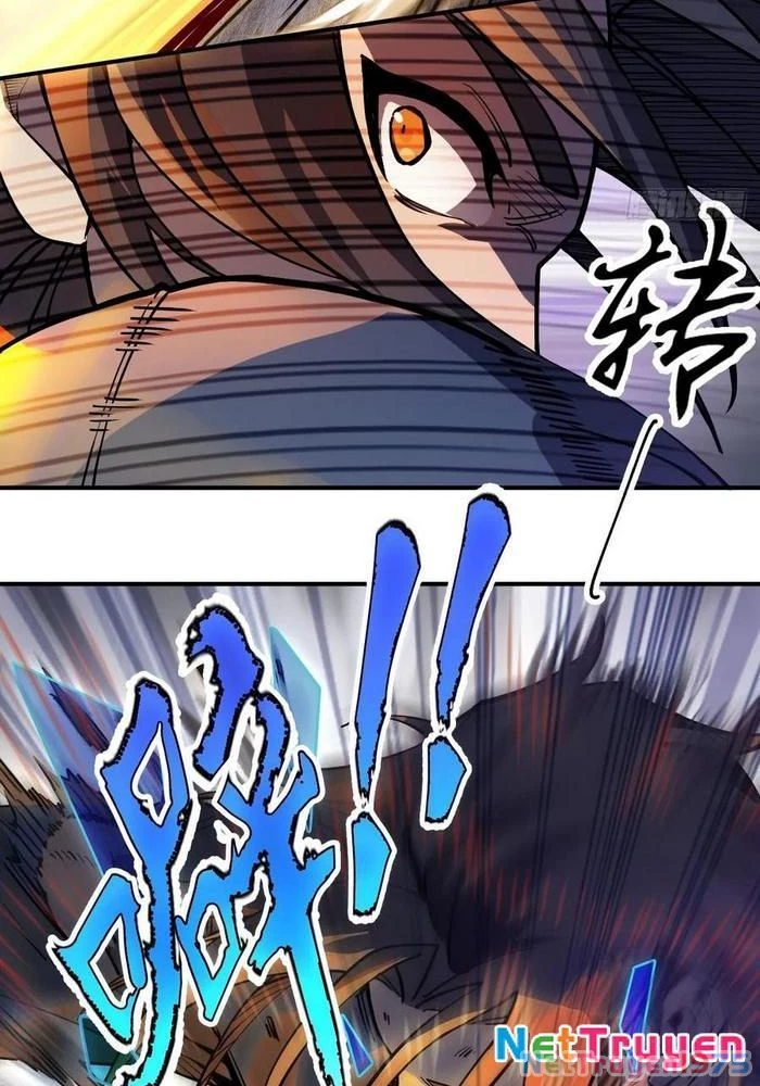 Xuyên Không Thành Chim Chapter 308 - Trang 2