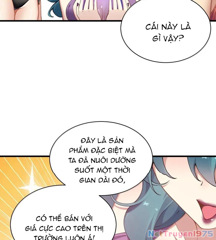 Thánh Nữ, Xin Hãy Dừng Ngay Những Trò Quái Đản Của Cô Đi!! Chapter 130 - Trang 2