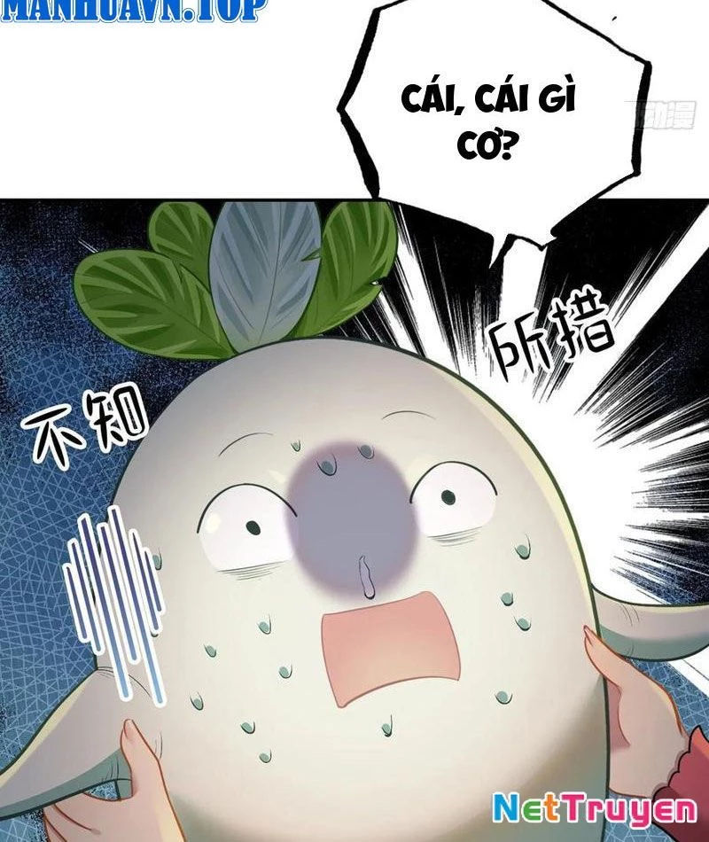 Đừng Xem Thường Một Củ Cải Chapter 36 - Next Chapter 37