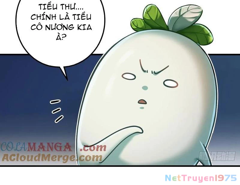Đừng Xem Thường Một Củ Cải Chapter 39 - Trang 2