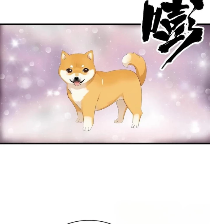 Đô Thị Thánh Thủ: Ta Là Y Võ Đỉnh Phong Chapter 124 - Next Chapter 125