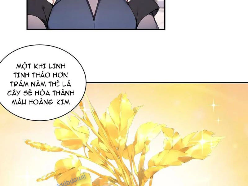 Bách Thê Phổ: Thánh nữ đều gọi ta là phu quân Chapter 55 - Trang 2