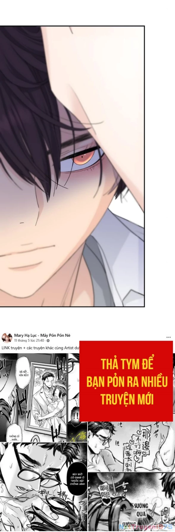 Sam Yi Tái Sinh Chapter 49.1 - Trang 2