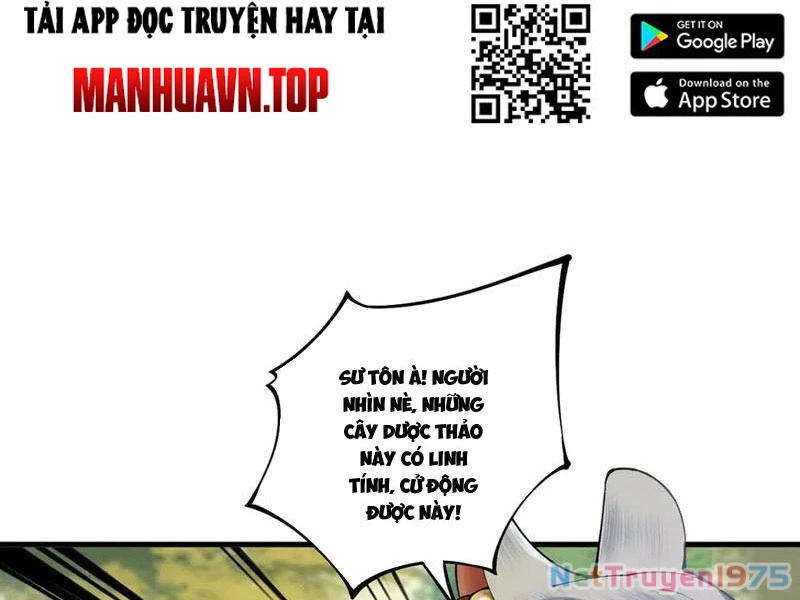 Gặp Mạnh Thì Mạnh, Ta Tu Vi Vô Thượng Hạn Chapter 44 - Trang 2