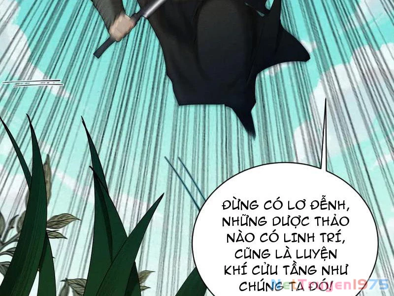 Gặp Mạnh Thì Mạnh, Ta Tu Vi Vô Thượng Hạn Chapter 44 - Trang 2