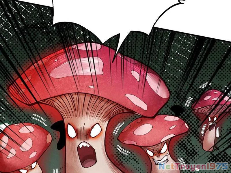 Gặp Mạnh Thì Mạnh, Ta Tu Vi Vô Thượng Hạn Chapter 44 - Trang 2