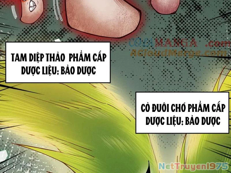 Gặp Mạnh Thì Mạnh, Ta Tu Vi Vô Thượng Hạn Chapter 44 - Trang 2