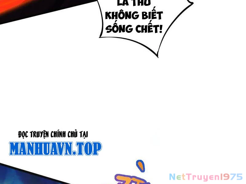 Gặp Mạnh Thì Mạnh, Ta Tu Vi Vô Thượng Hạn Chapter 44 - Trang 2
