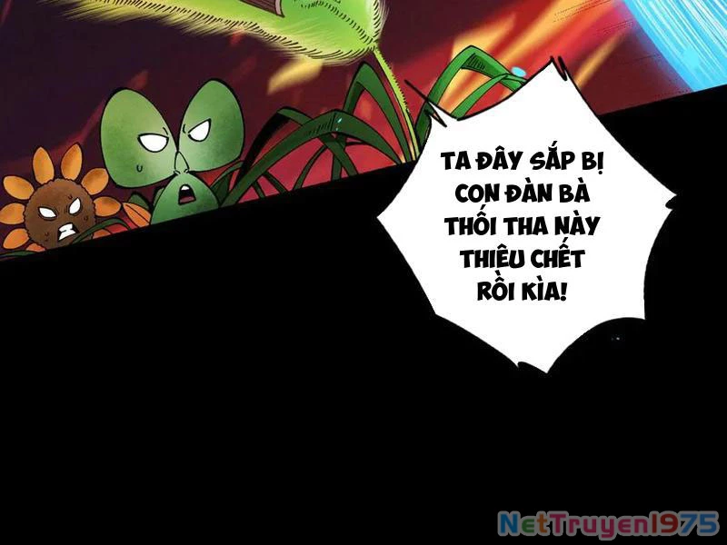 Gặp Mạnh Thì Mạnh, Ta Tu Vi Vô Thượng Hạn Chapter 44 - Trang 2