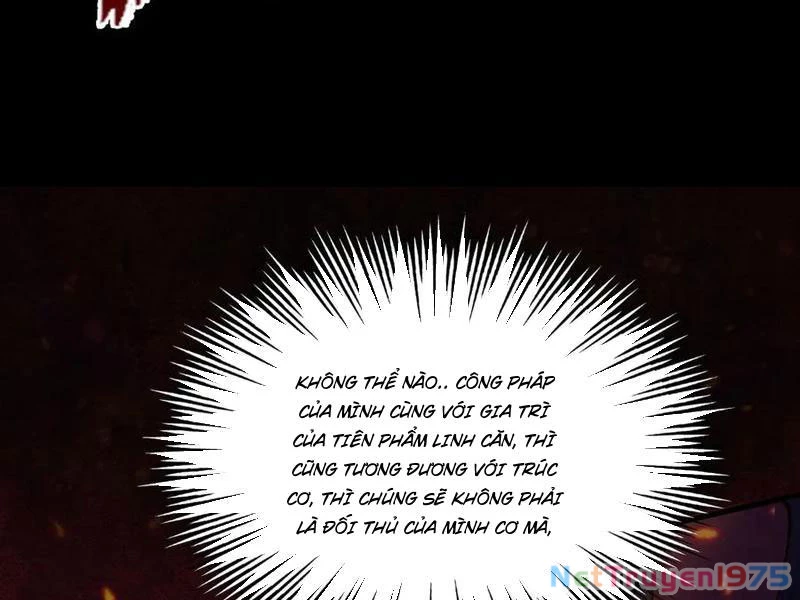 Gặp Mạnh Thì Mạnh, Ta Tu Vi Vô Thượng Hạn Chapter 44 - Trang 2