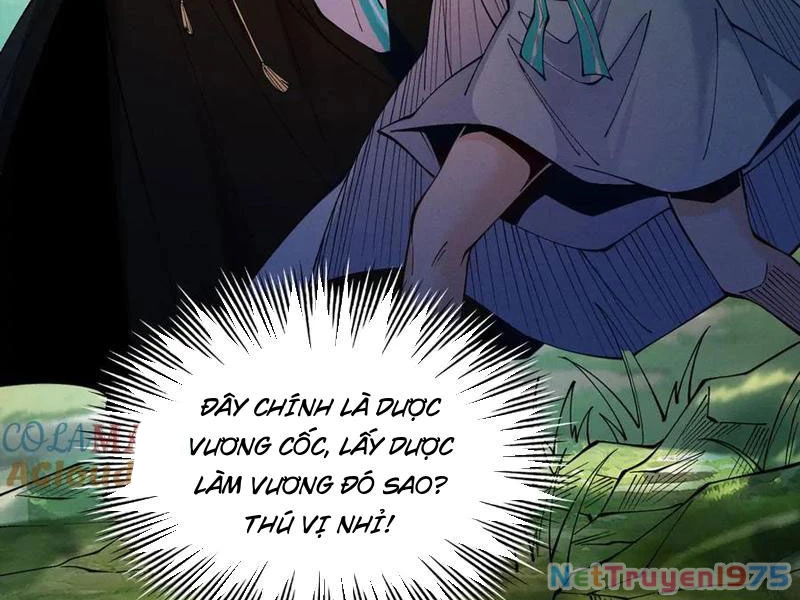 Gặp Mạnh Thì Mạnh, Ta Tu Vi Vô Thượng Hạn Chapter 44 - Trang 2