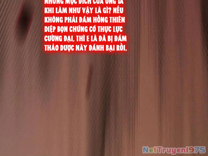 Gặp Mạnh Thì Mạnh, Ta Tu Vi Vô Thượng Hạn Chapter 44 - Trang 2