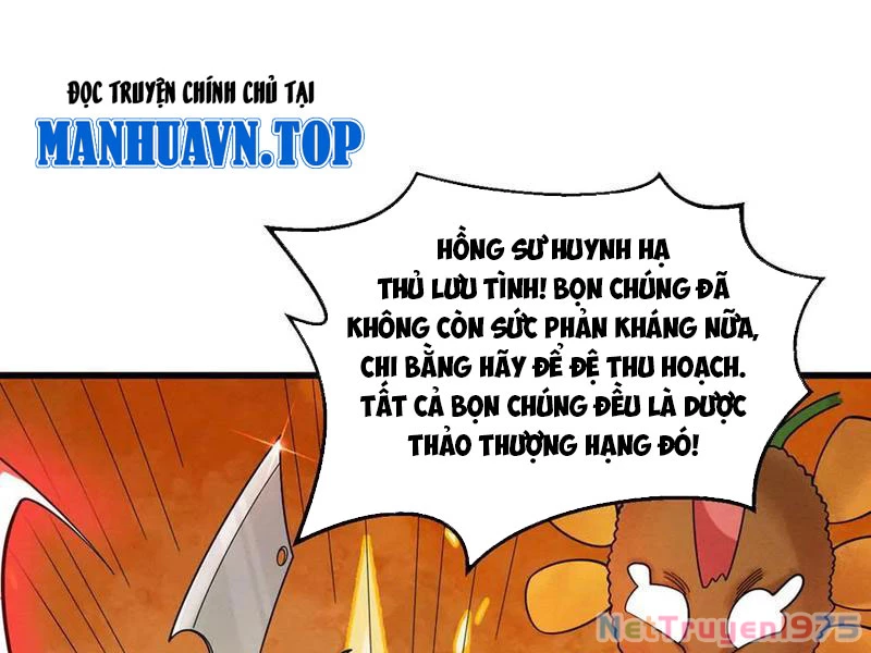 Gặp Mạnh Thì Mạnh, Ta Tu Vi Vô Thượng Hạn Chapter 44 - Trang 2