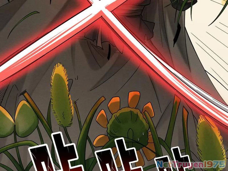 Gặp Mạnh Thì Mạnh, Ta Tu Vi Vô Thượng Hạn Chapter 44 - Trang 2