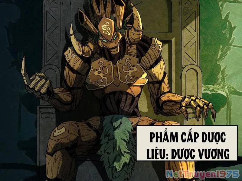 Gặp Mạnh Thì Mạnh, Ta Tu Vi Vô Thượng Hạn Chapter 44 - Trang 2