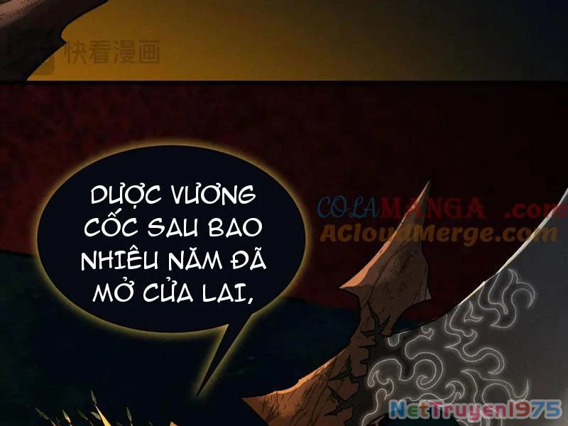 Gặp Mạnh Thì Mạnh, Ta Tu Vi Vô Thượng Hạn Chapter 44 - Trang 2