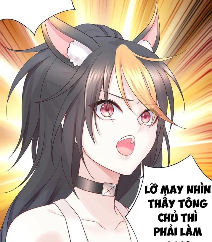 Ta biến thành miêu nương Chapter 28 - Trang 2