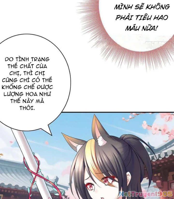 Ta biến thành miêu nương Chapter 28 - Trang 2