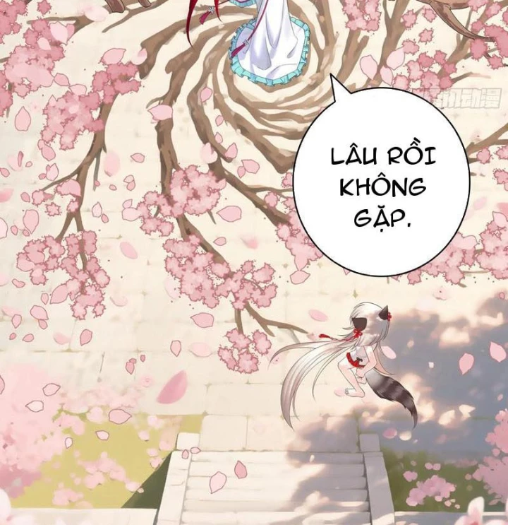Ta biến thành miêu nương Chapter 29 - Trang 2