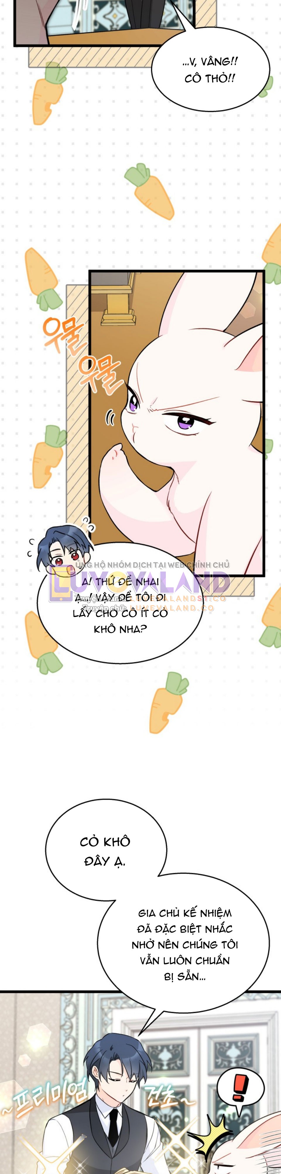 Mối Liên Kết Giữa Báo Đen Và Bé Thỏ Chapter 152 - Trang 2