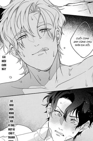 Chú mèo tinh nghịch và giấc mơ giữa ban ngày